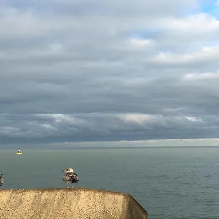 Sunny Ground Floor Escape