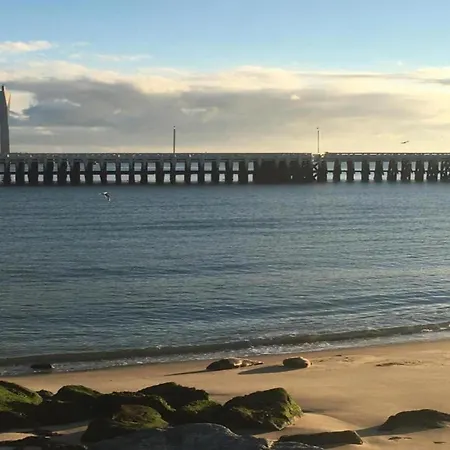 Sunny Ground Floor Escape Lägenhet