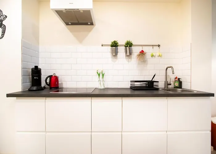 Sunny Ground Floor Escape Ostende