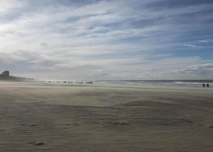 Sunny Ground Floor Escape Apartmán Ostende