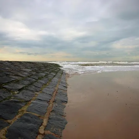 公寓 Sunny Ground Floor Escape *