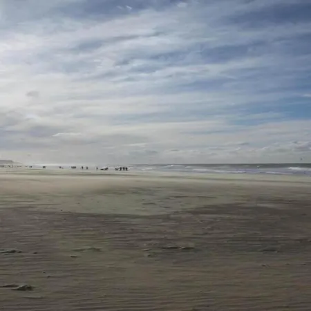 Sunny Ground Floor Escape 公寓 奥斯滕德