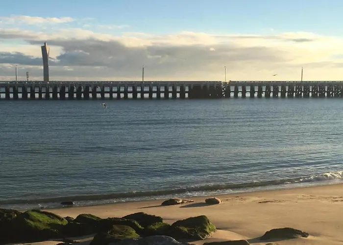 Sunny Ground Floor Escape Apartment