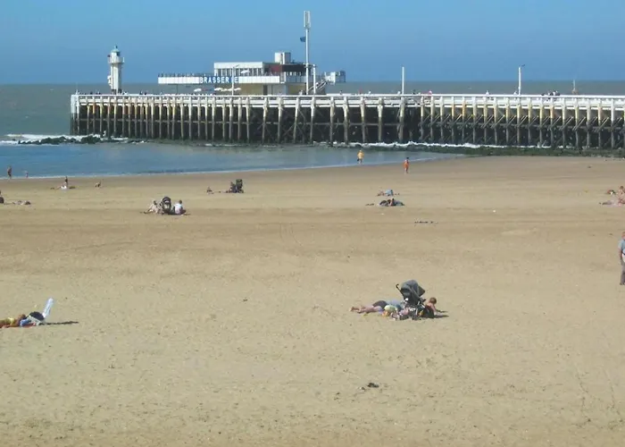 Sunny Ground Floor Escape